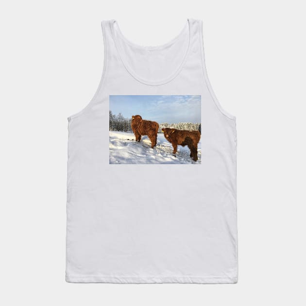 Scottish Highland Cattle Calves 1666 Tank Top by SaarelaHighland